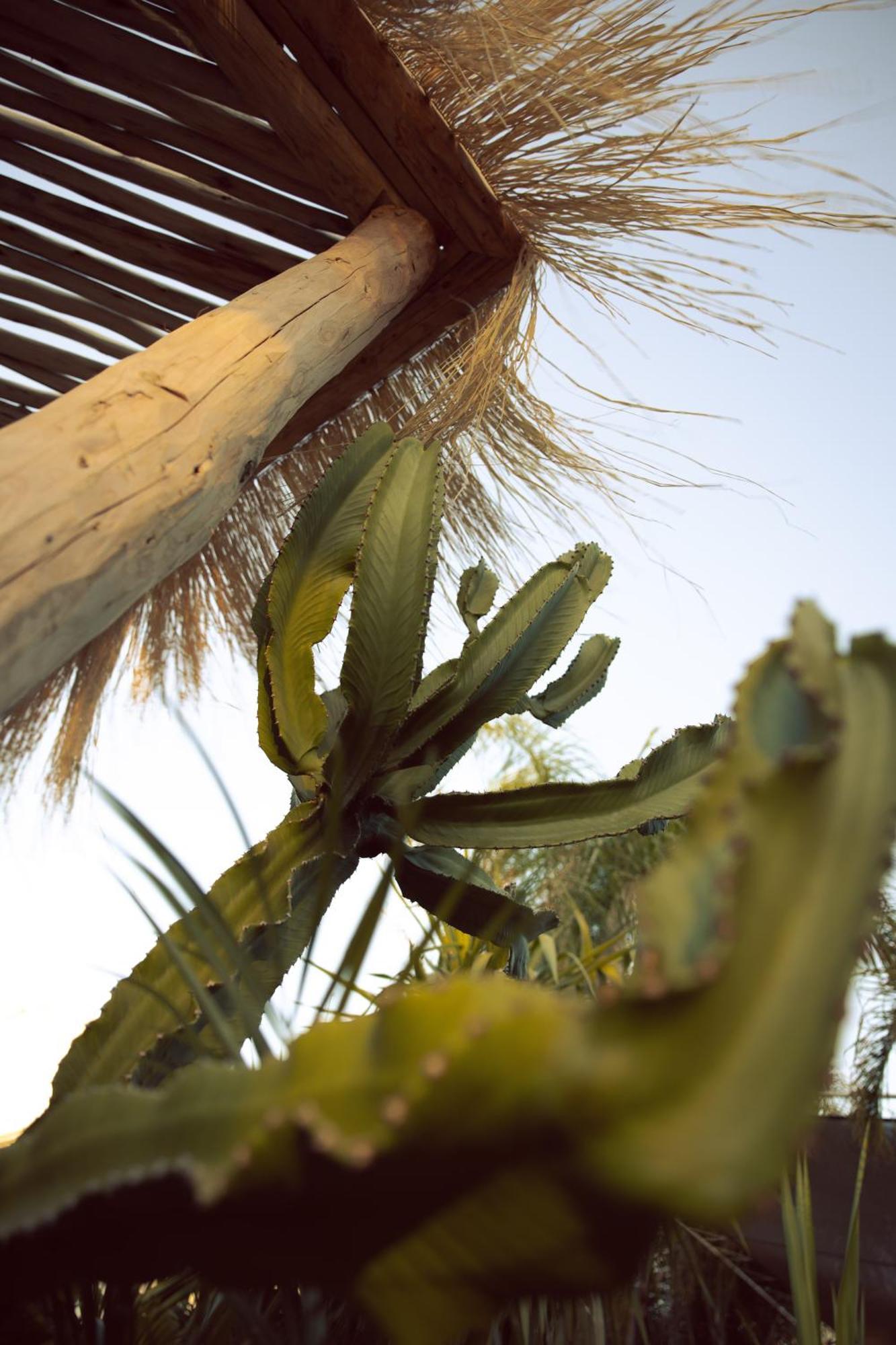 Les Palmiers Boutique Hotel & Spa Marrakesh Bagian luar foto